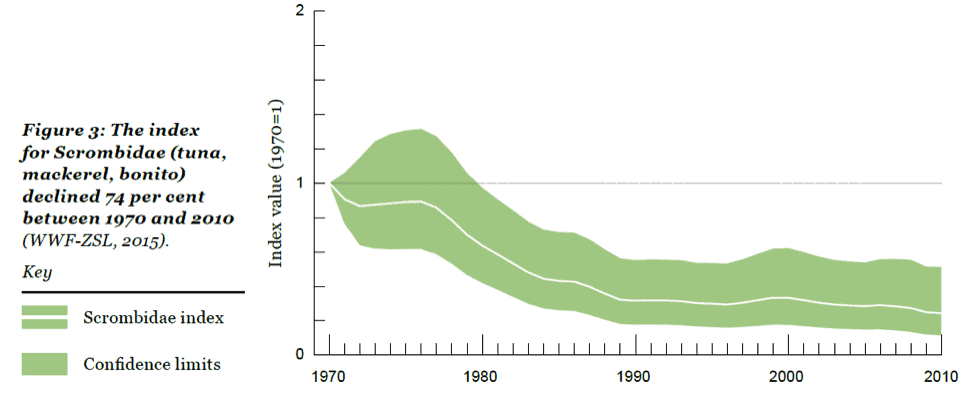 Figure 2. Trends in abundance for tuna and scombrids in the LBPI.