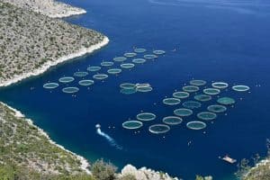 Photo of mariculture pens off the coast of Greence