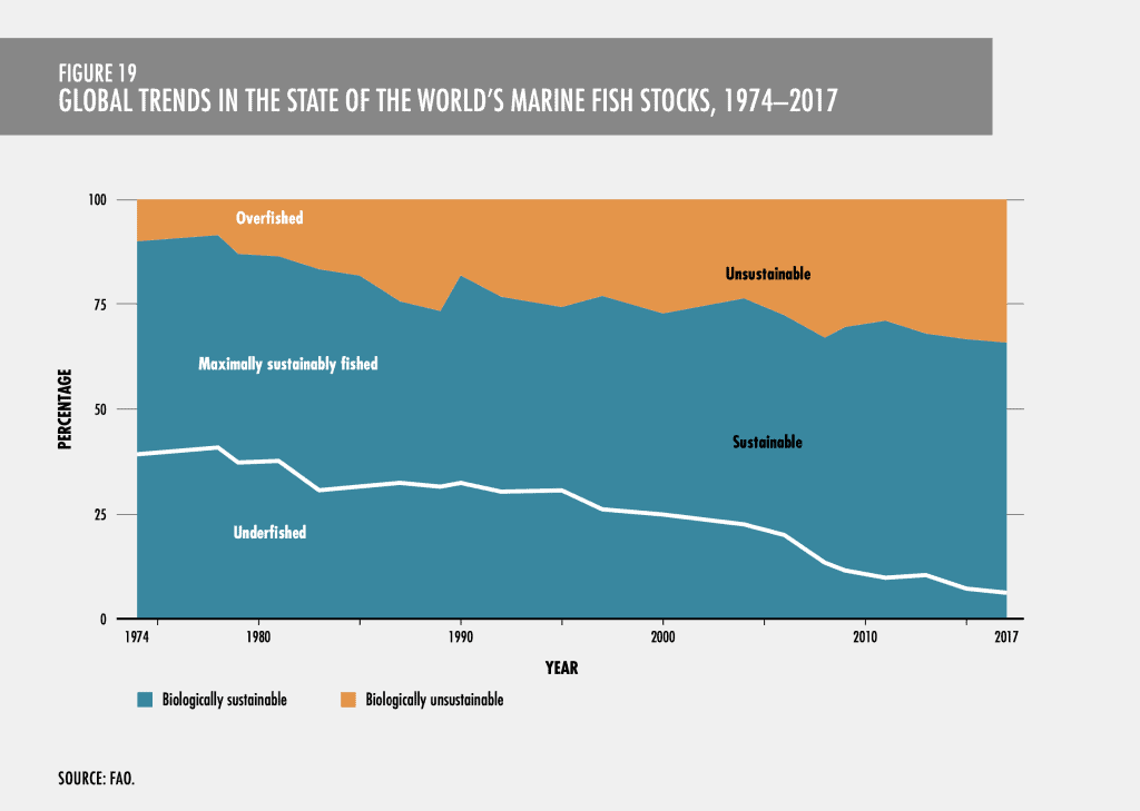 global trends in fisheries over time